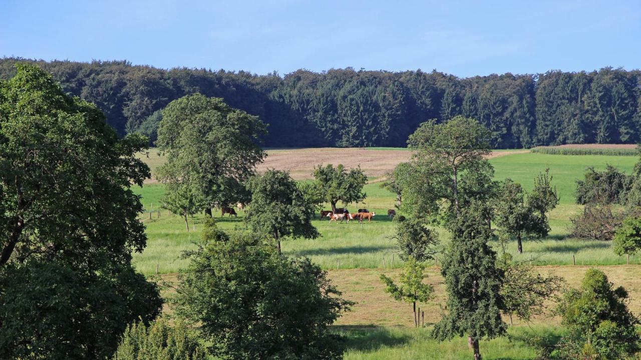 Ferienhof Knoll Lindenfels Dış mekan fotoğraf